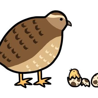 最強の生物は？