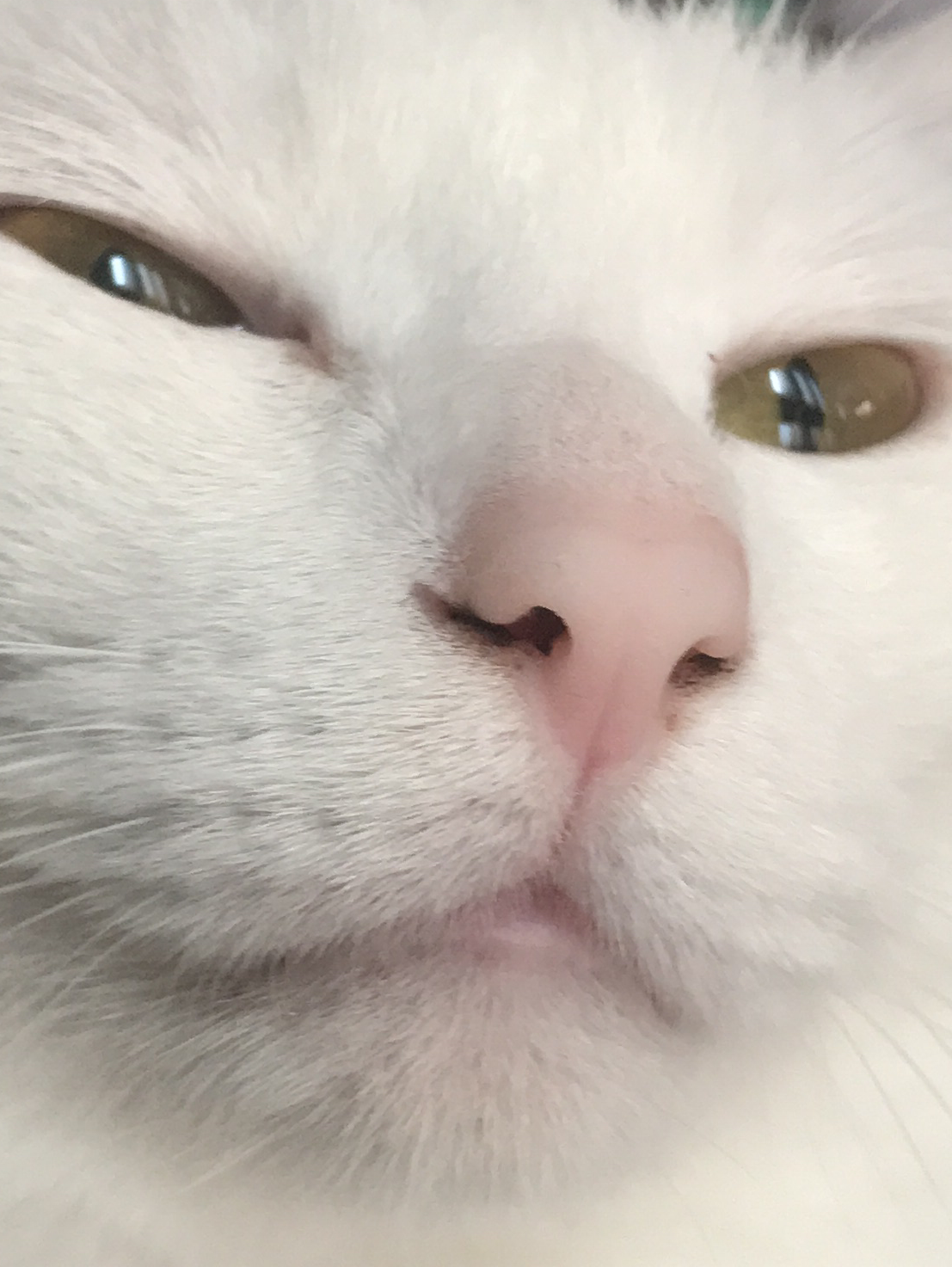 この世界はどうでもいいよ👍