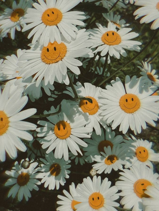 - ̗̀ お知らせ⋆͛📢⋆   ̖́-