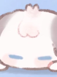 癒しの画像を投稿しよう！