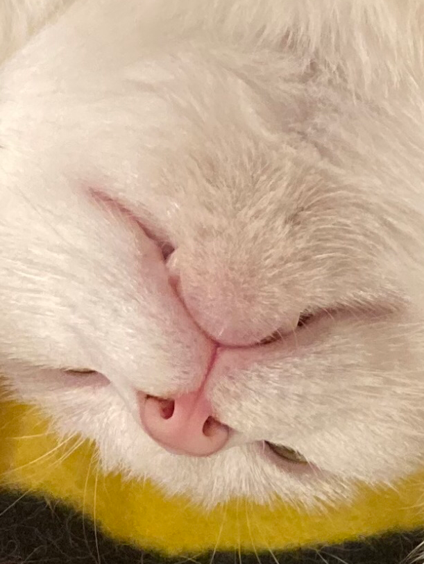 ( ᐛ )この星に入ってアホになった人おいで〜！！！！！！！