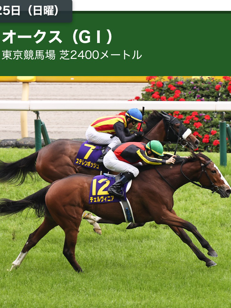 オークスを勝つ馬は‼️🏆👑🎌