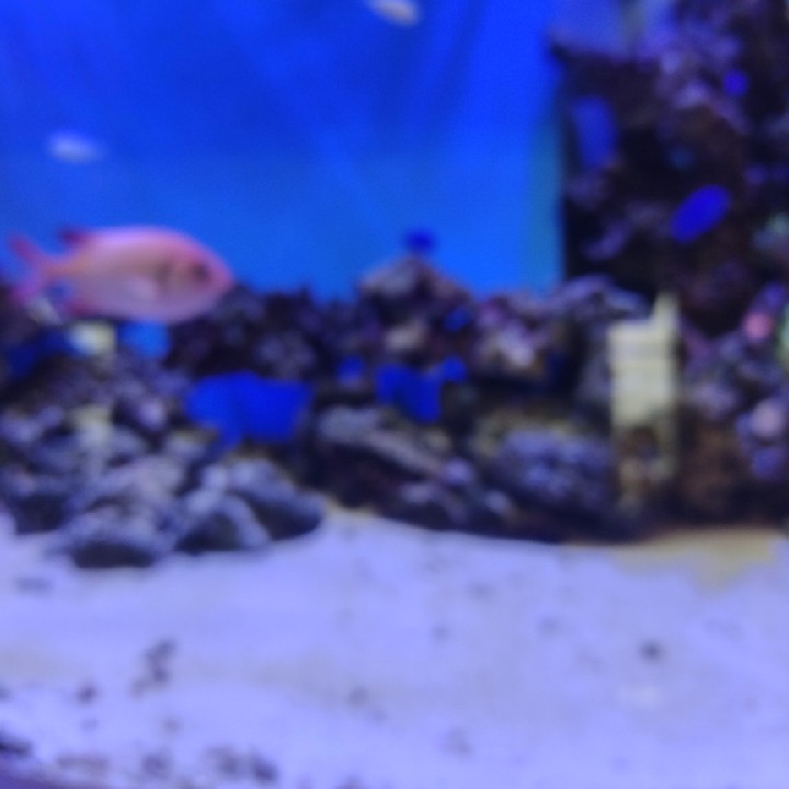 最近あった○○こと !!