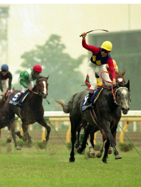 みんなで安田記念を予想しよう🏇💨