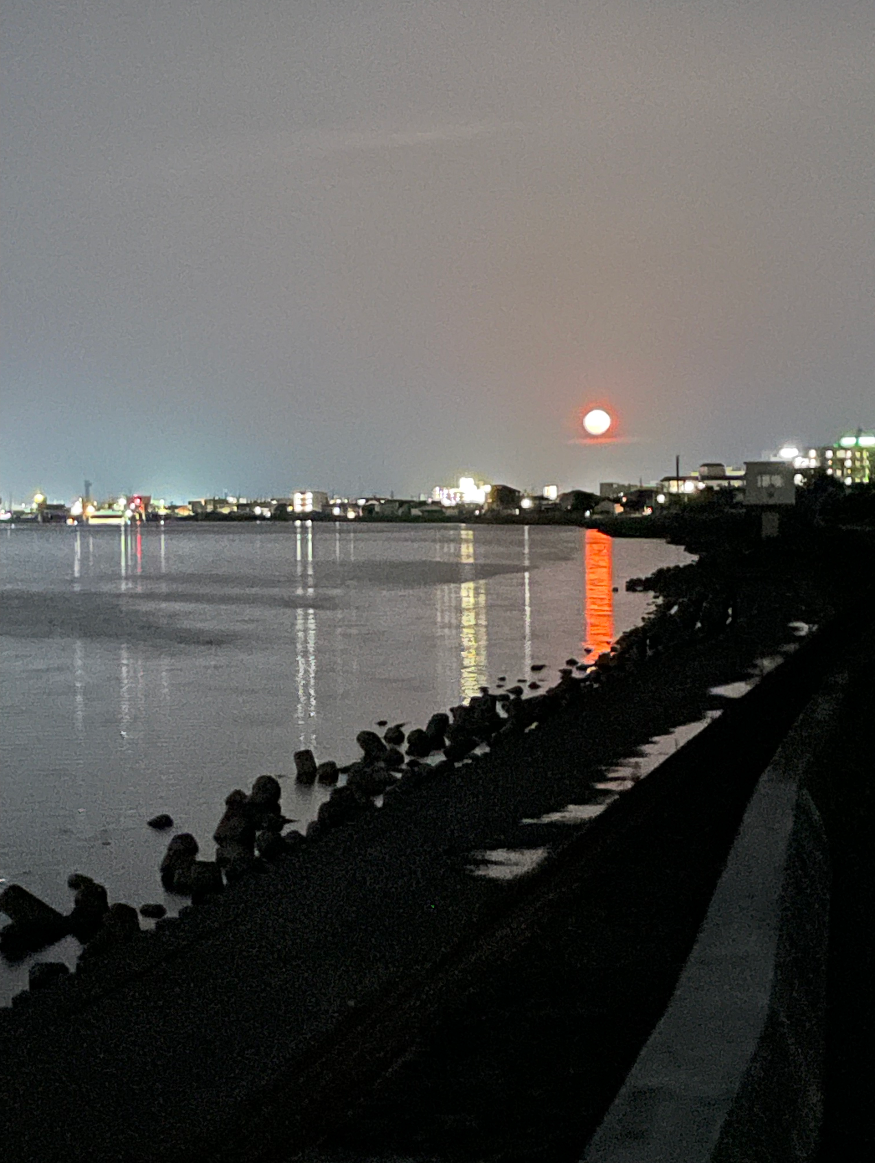 満月の夜に乾杯🍻2