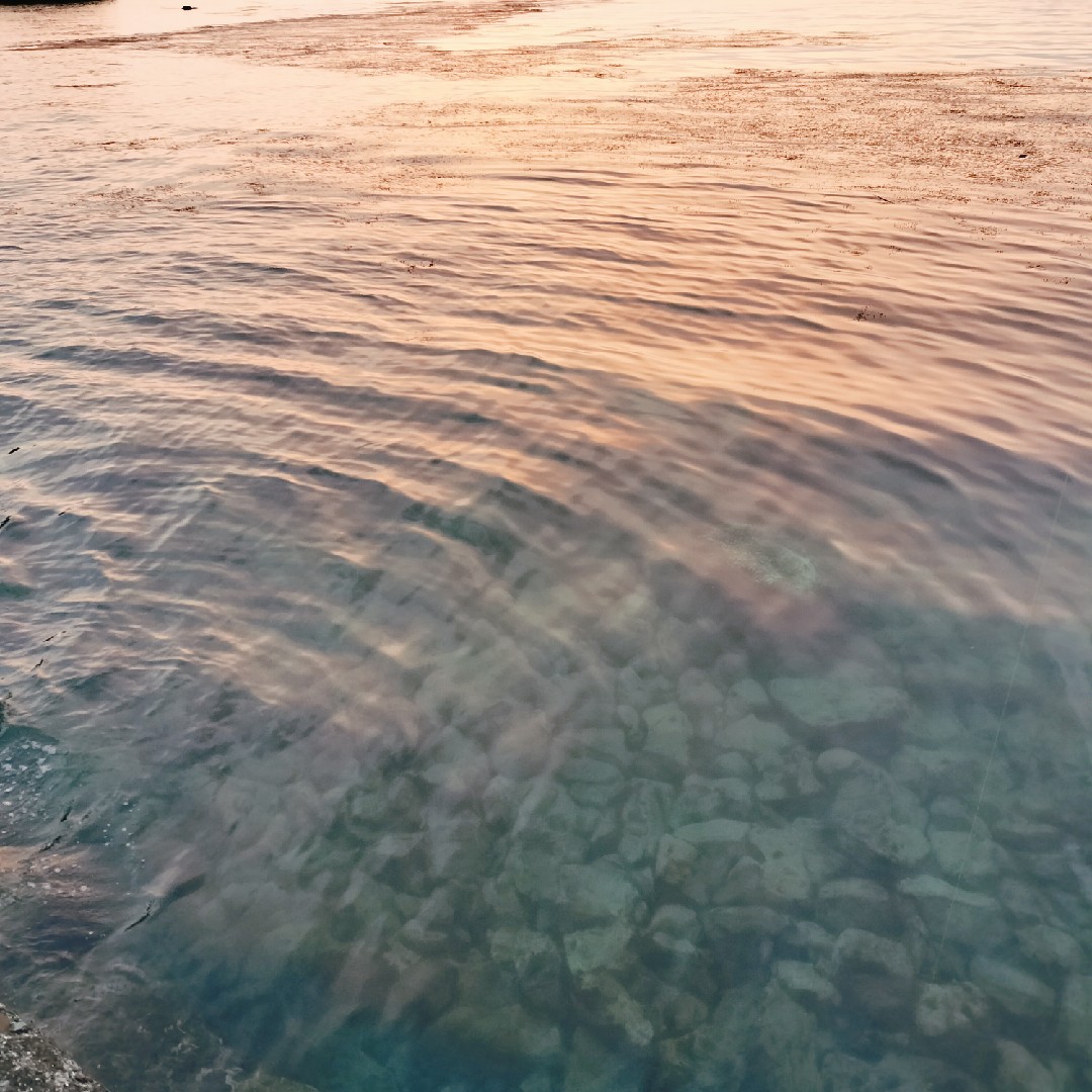 1番したいこと、行きたい場所