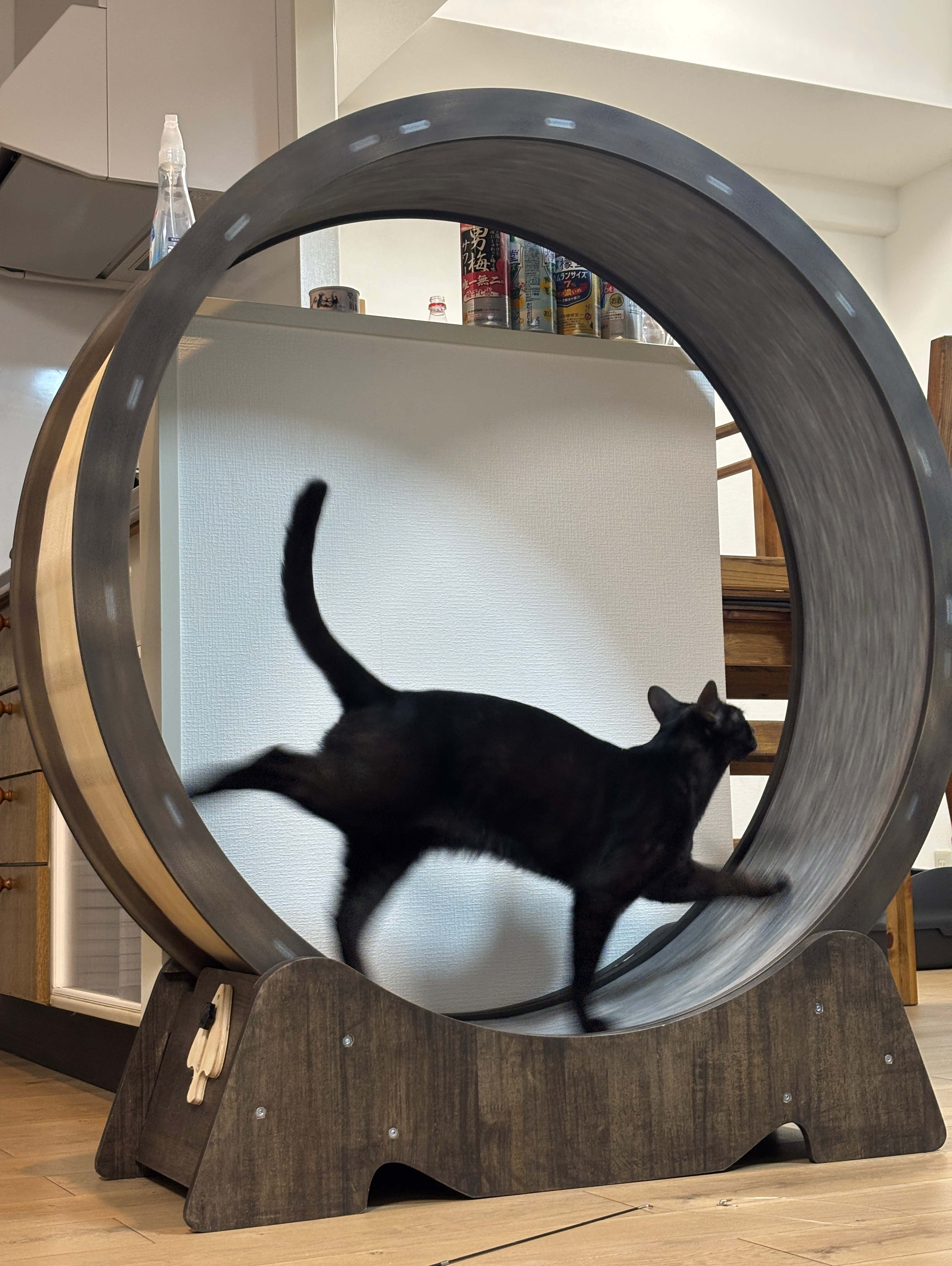 こんな物で遊んでます