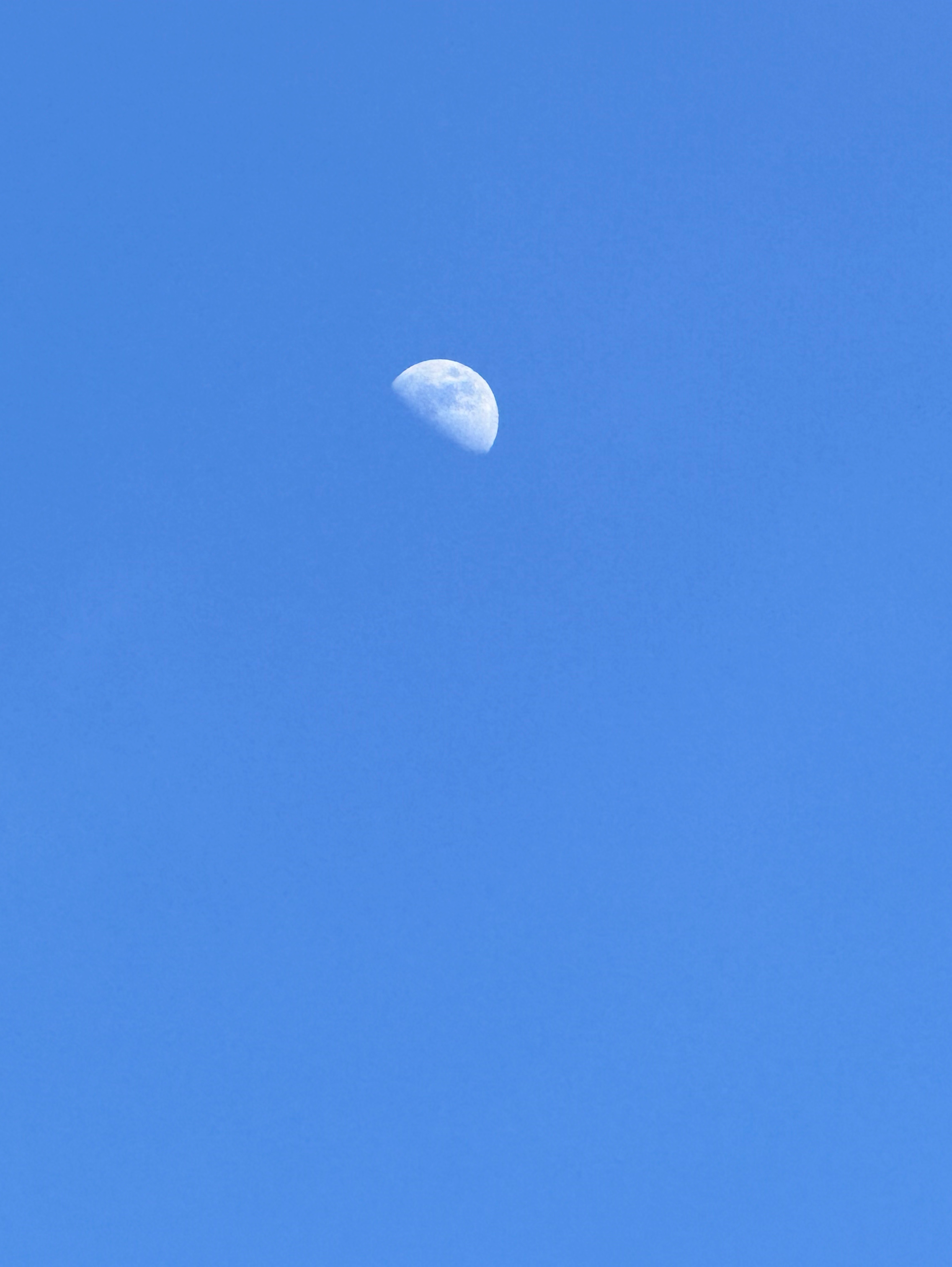 月を追いかけて