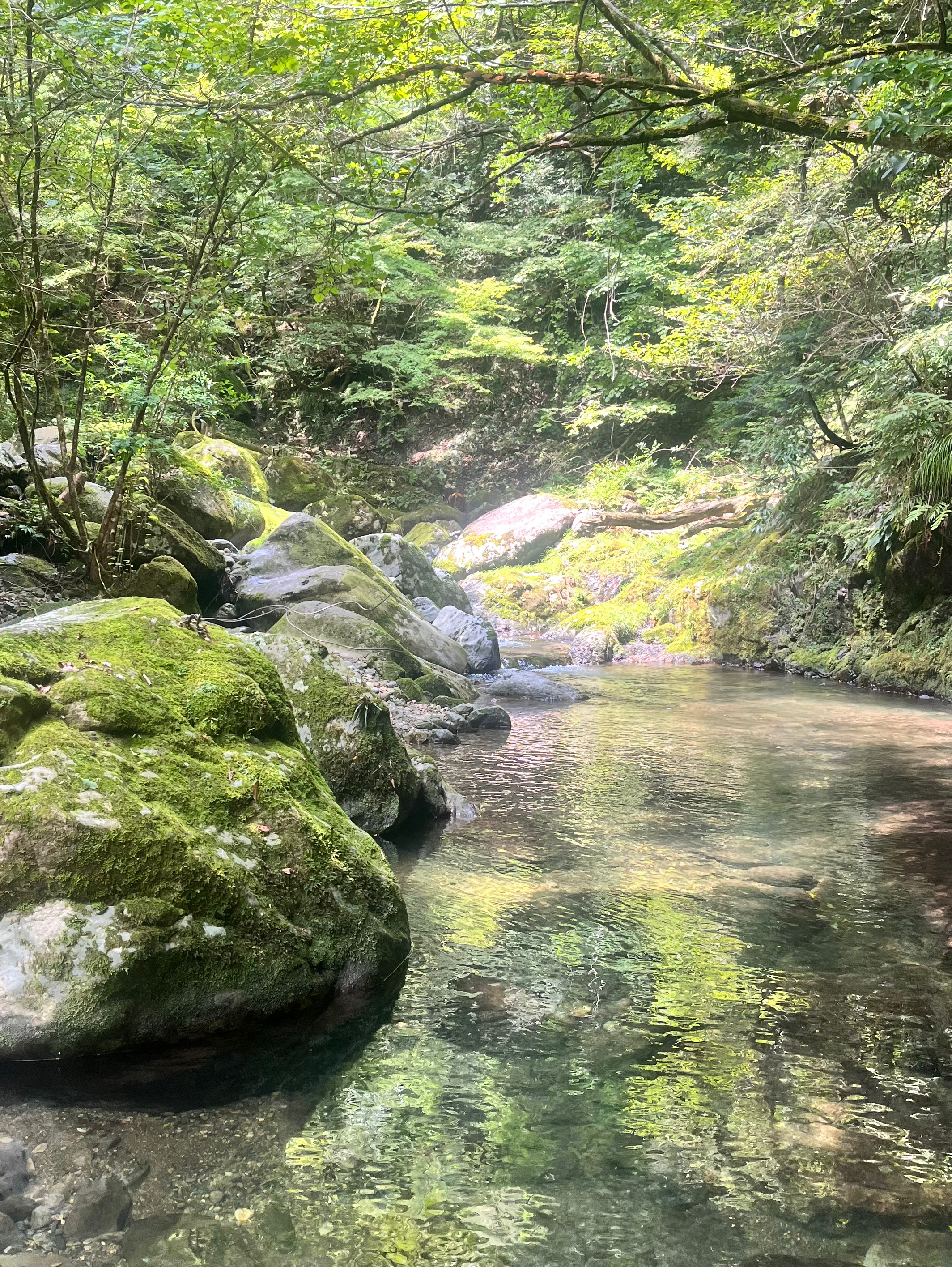 夏のはじまり