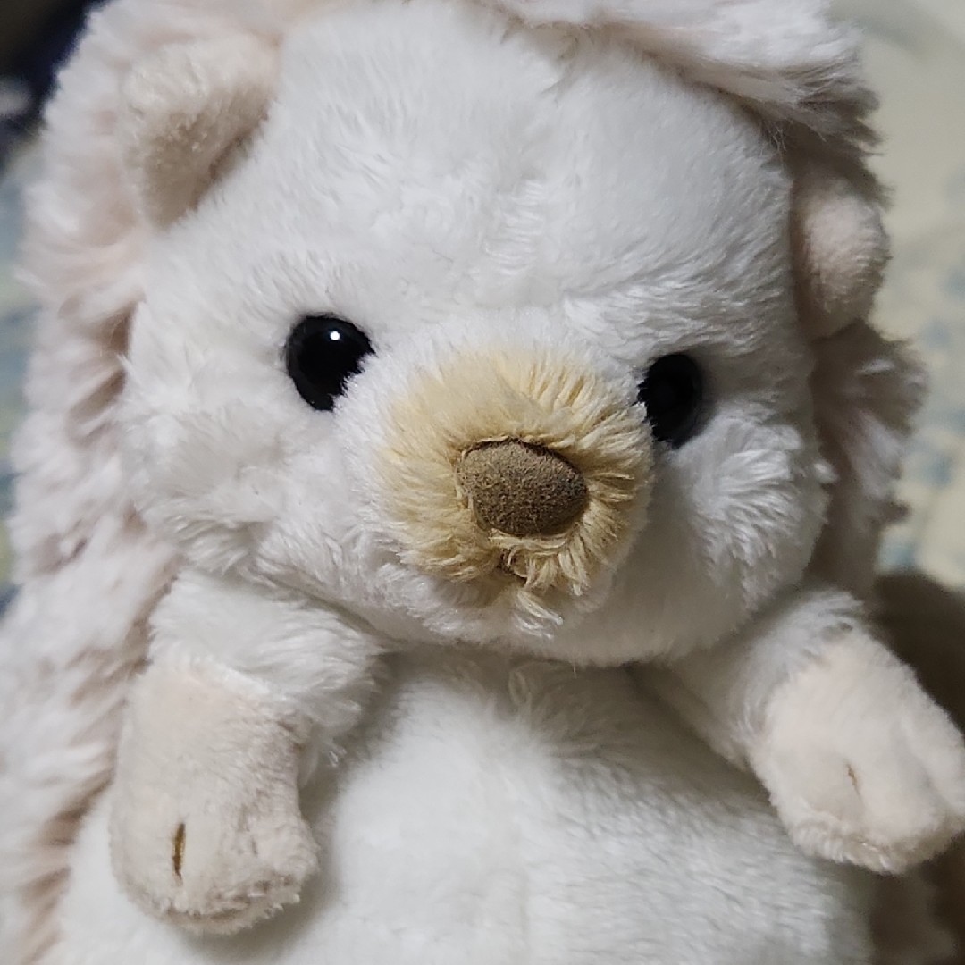 ぬいぐるみとの日常