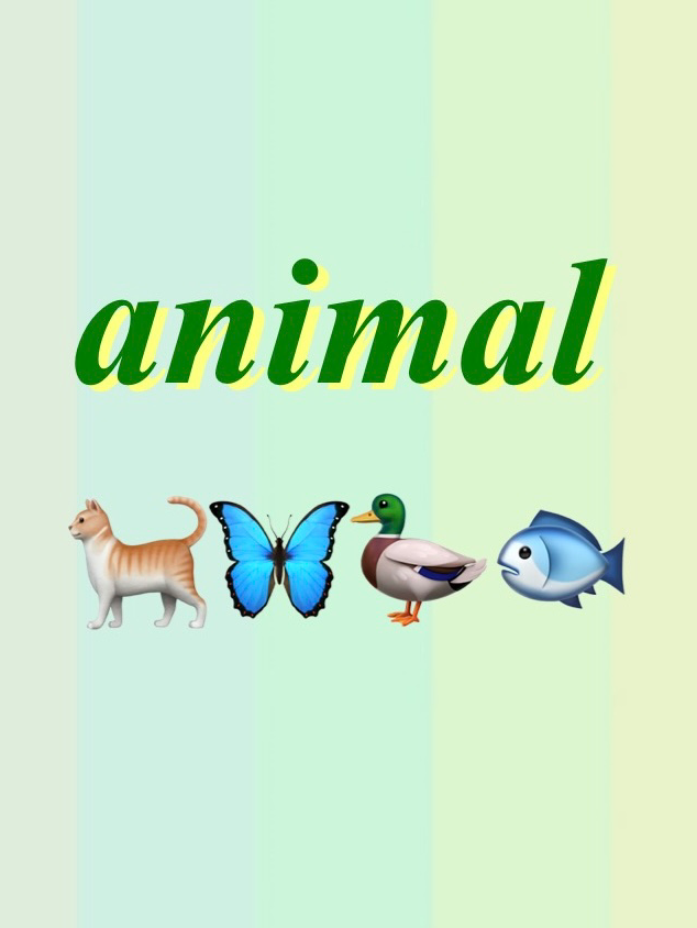 🐕🦺動物デザインの食器🐈⬛