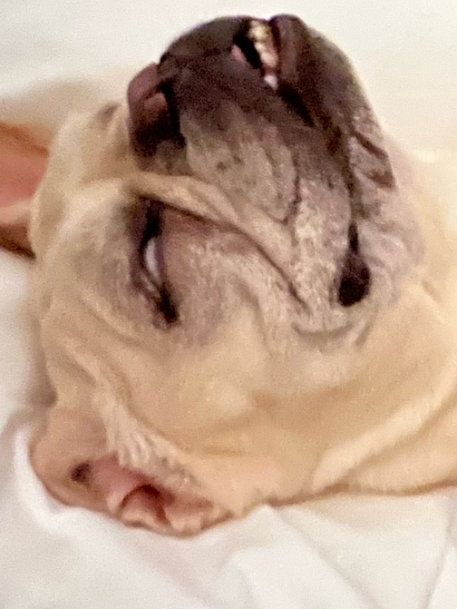 下半期変顔大賞