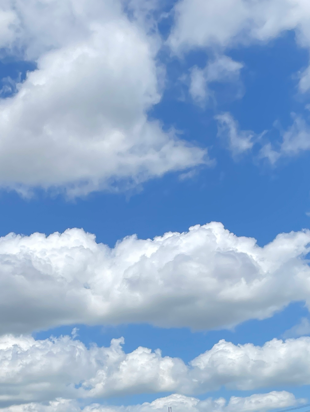 夏休みの思い出‼️