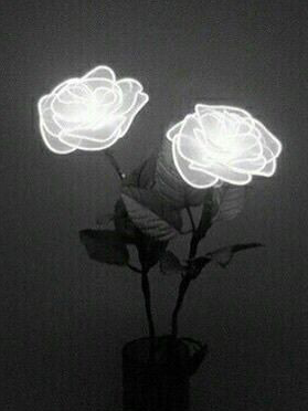 皆のキーボードってどんな感じ！？