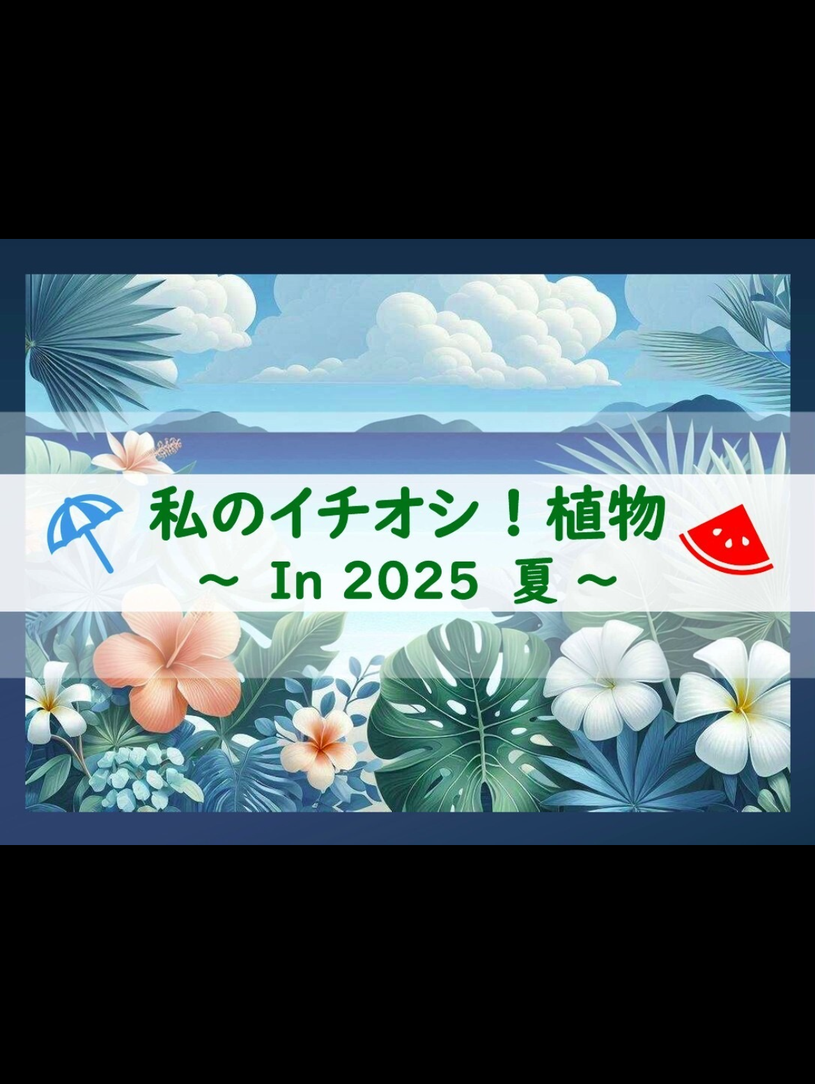 私のイチオシ！植物！　〜☀️ in 2025 夏！🌻〜