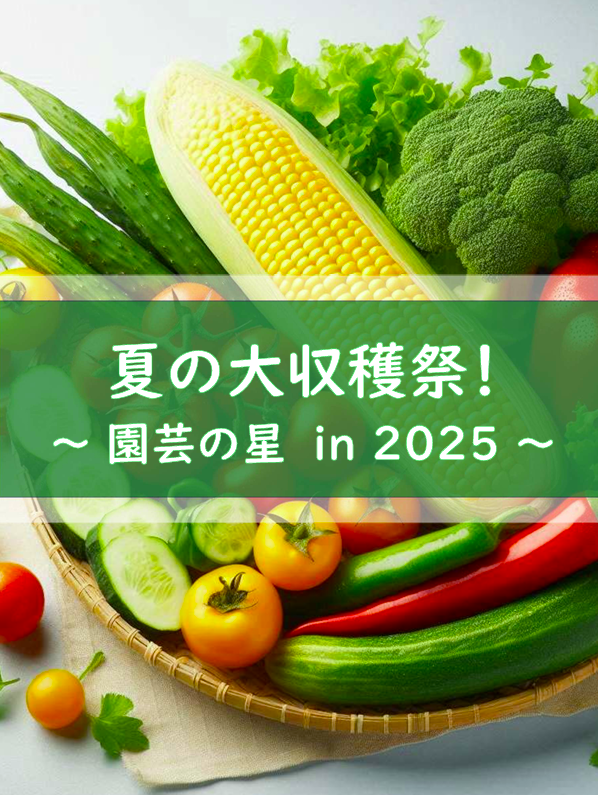 夏の大収穫祭！2025！