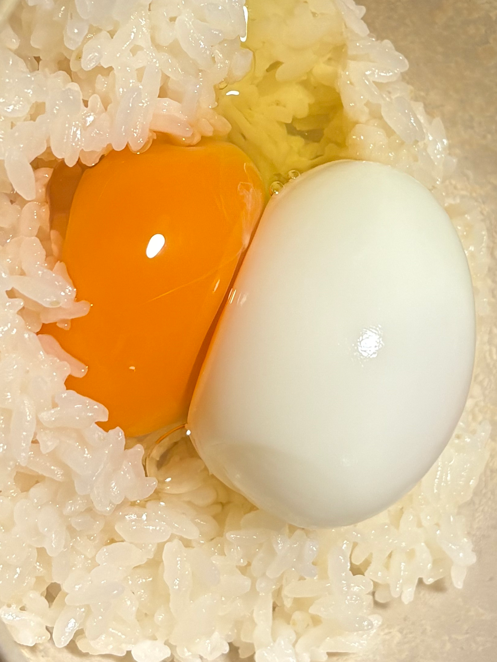 夏、ズボラんはじめました🎐