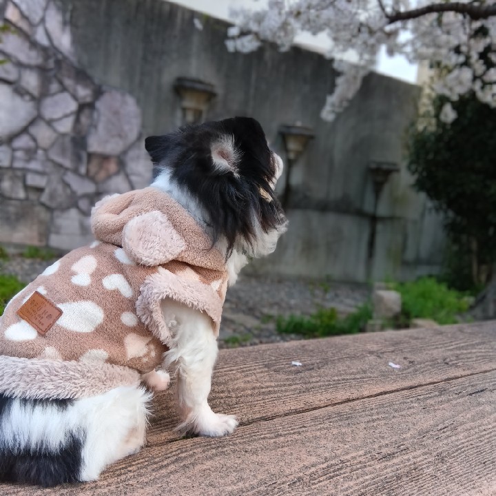 残った数少ない相互の呼び名を決めます