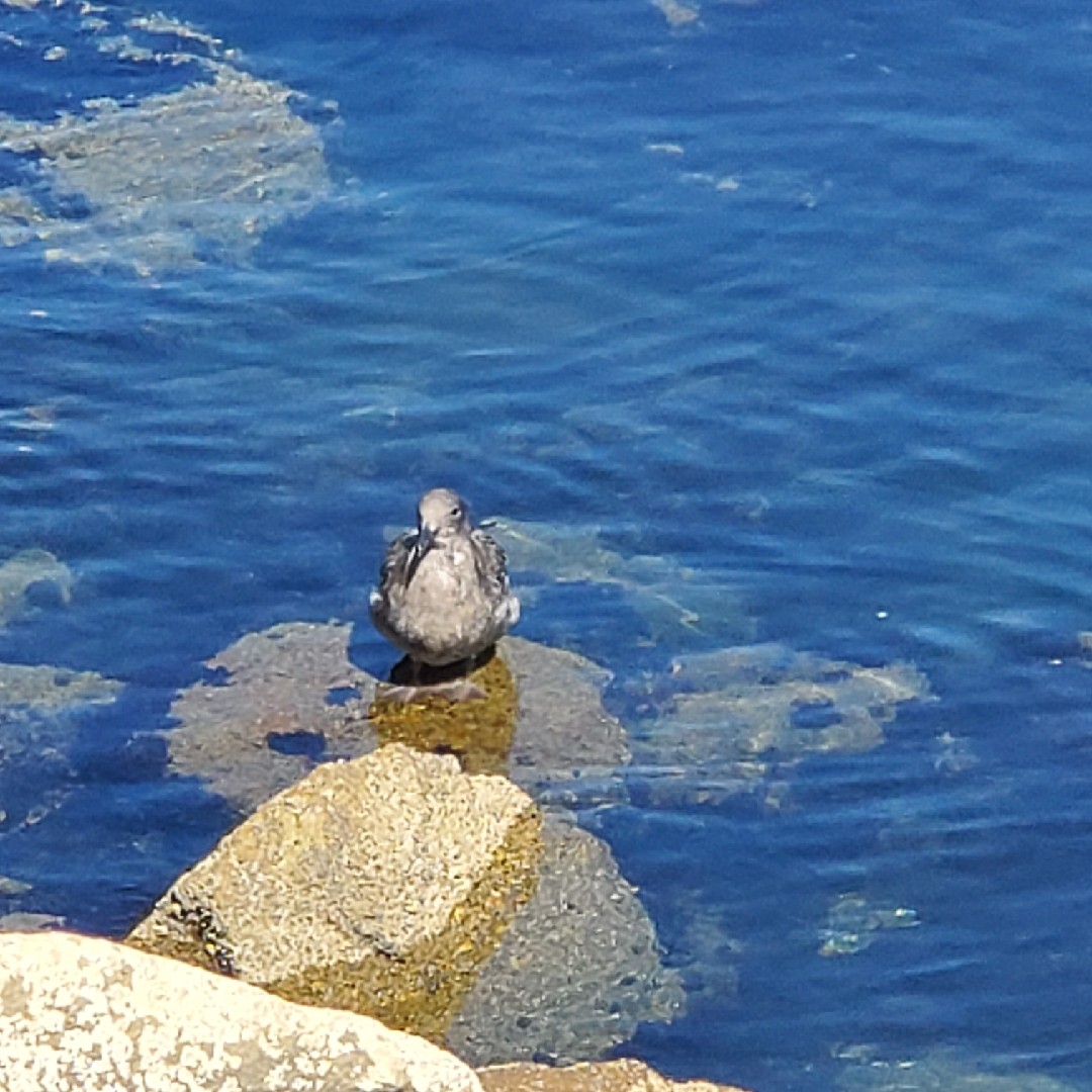 夏を感じる自然🍉🌴を投稿しよう！
