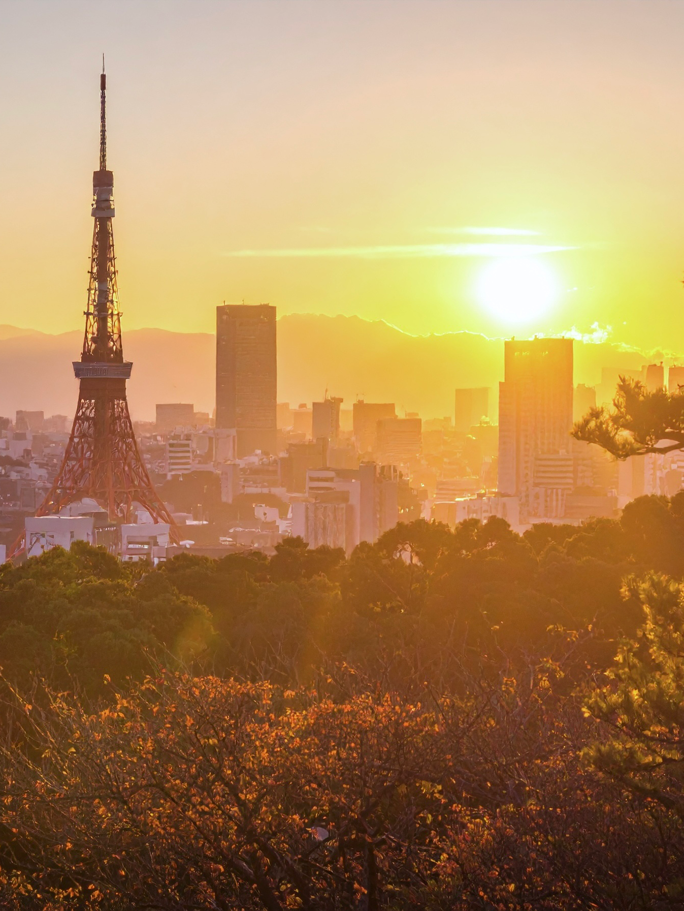 朝日を撮ろう📸