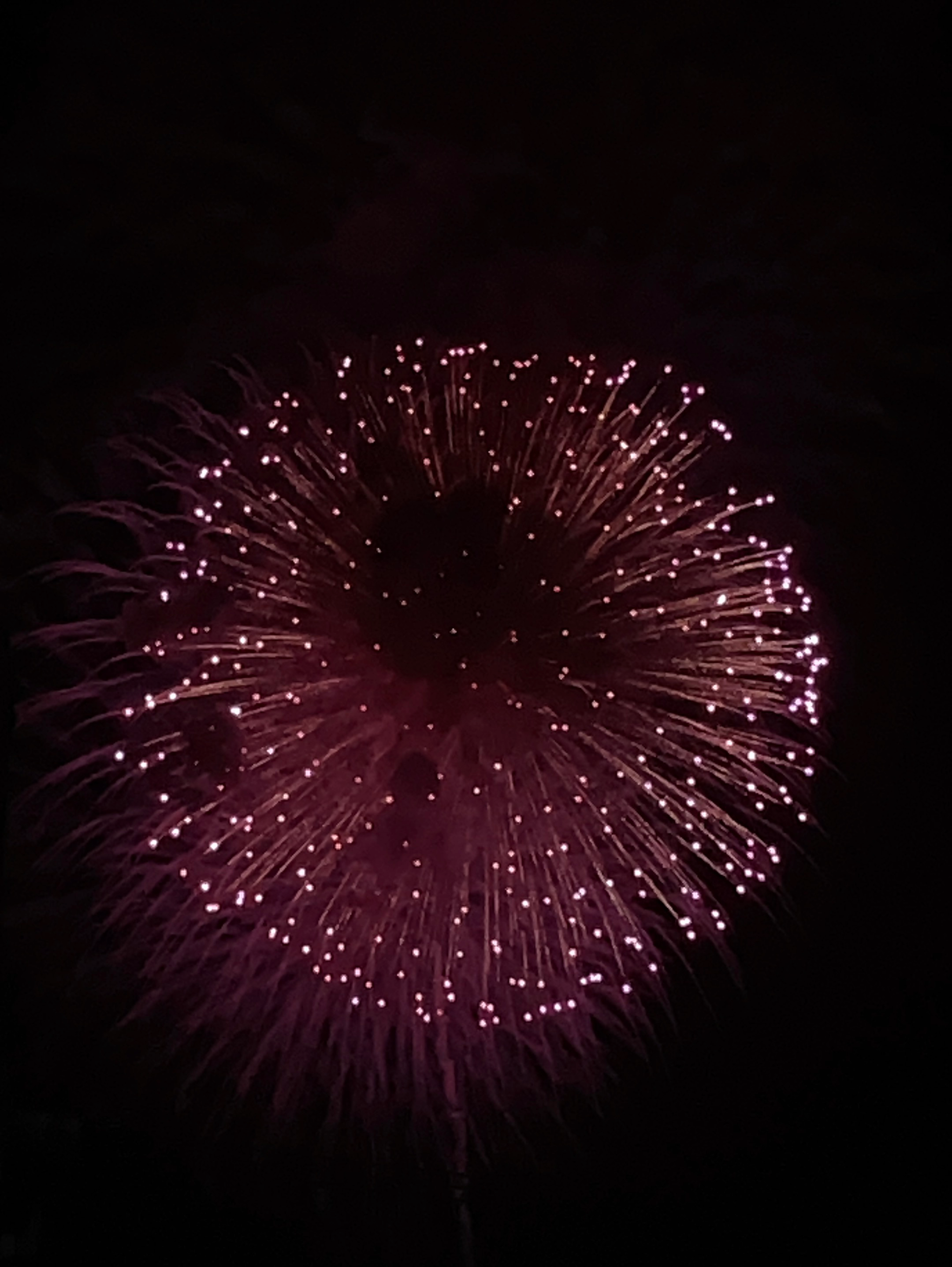 夏休みおべんきょう量産きゃんぺーん