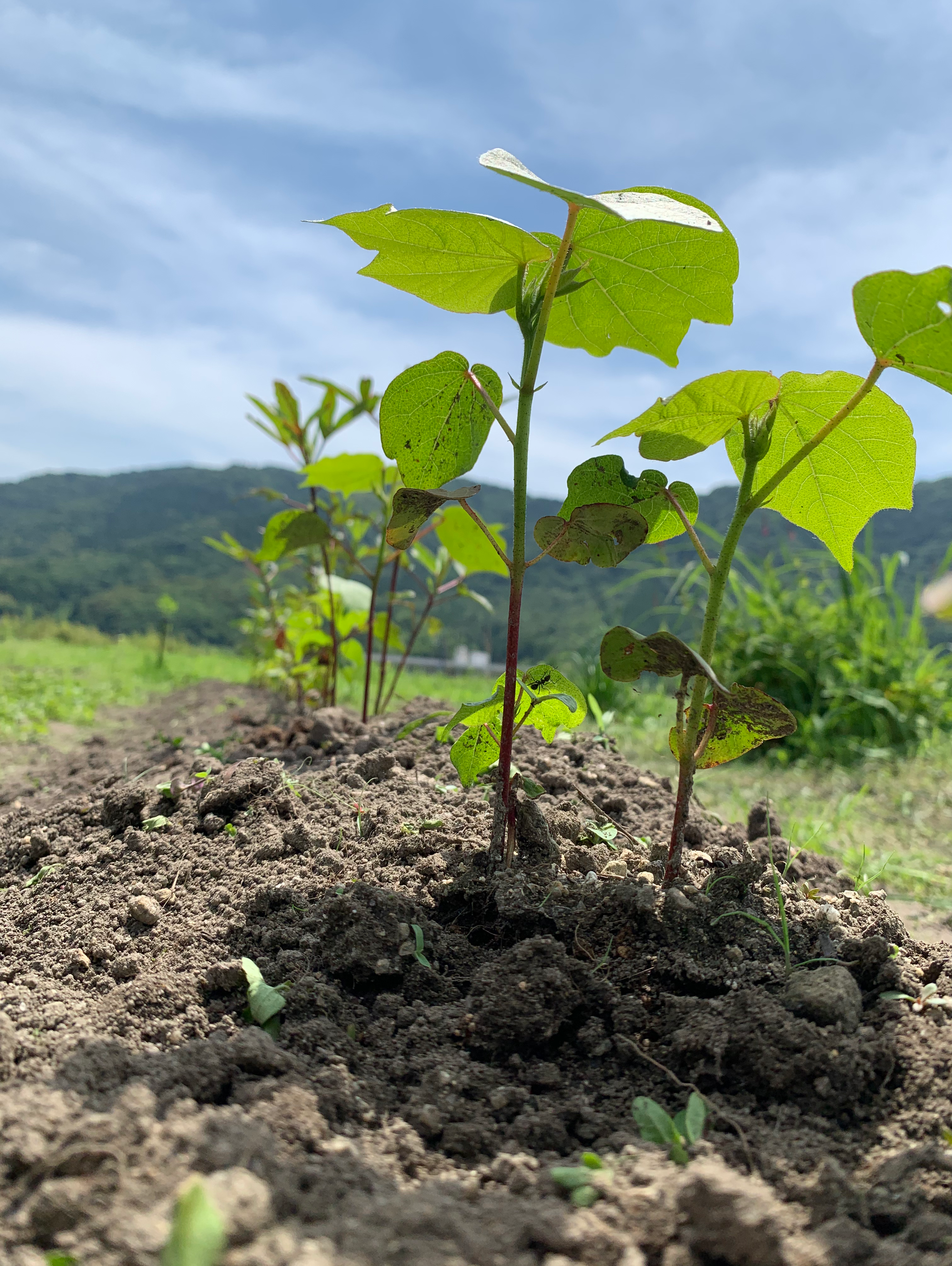 私の好きなスローな時間