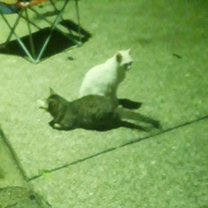 アイラブユー❤️