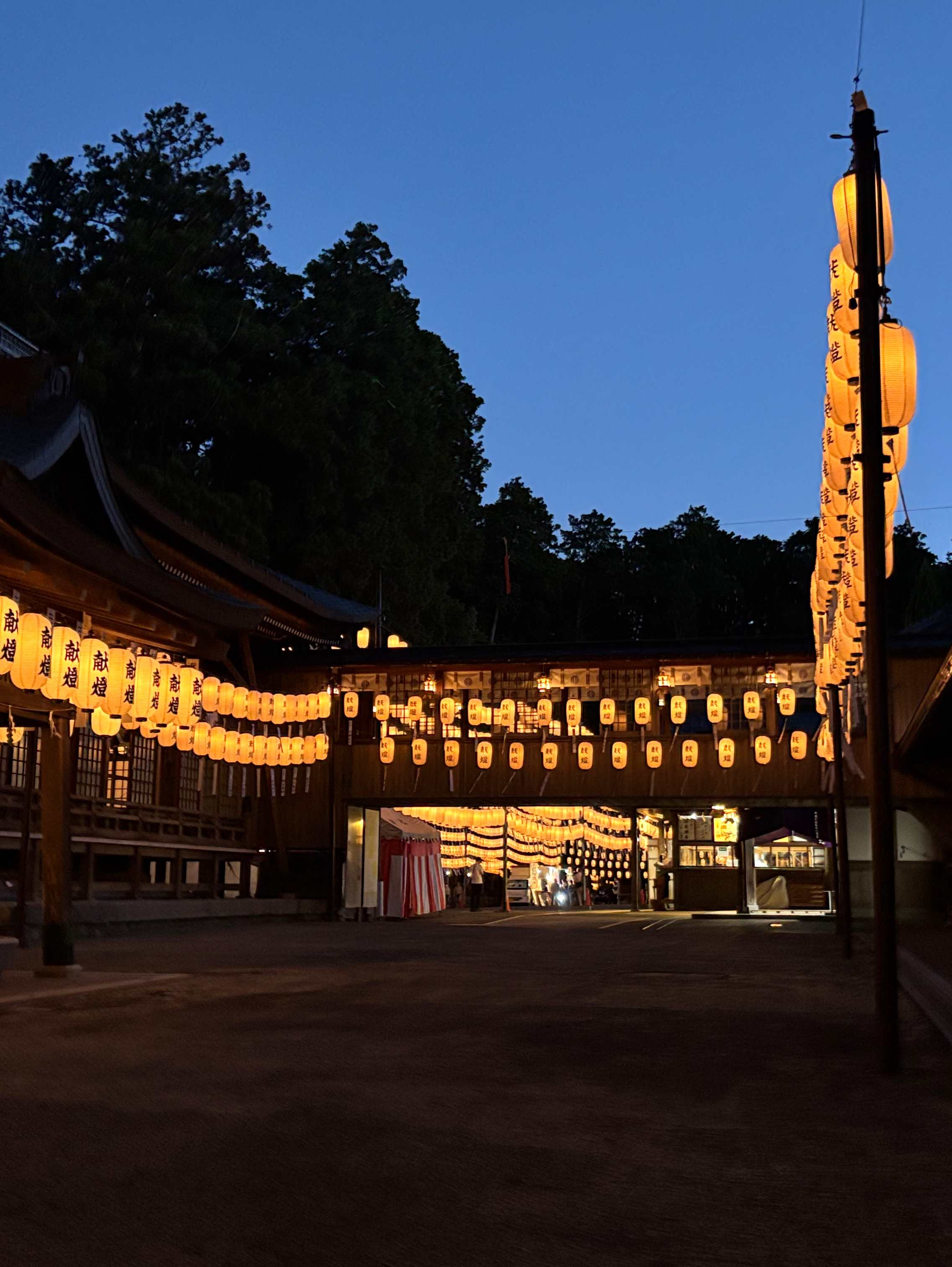 夏だお祭りだ わっしょい