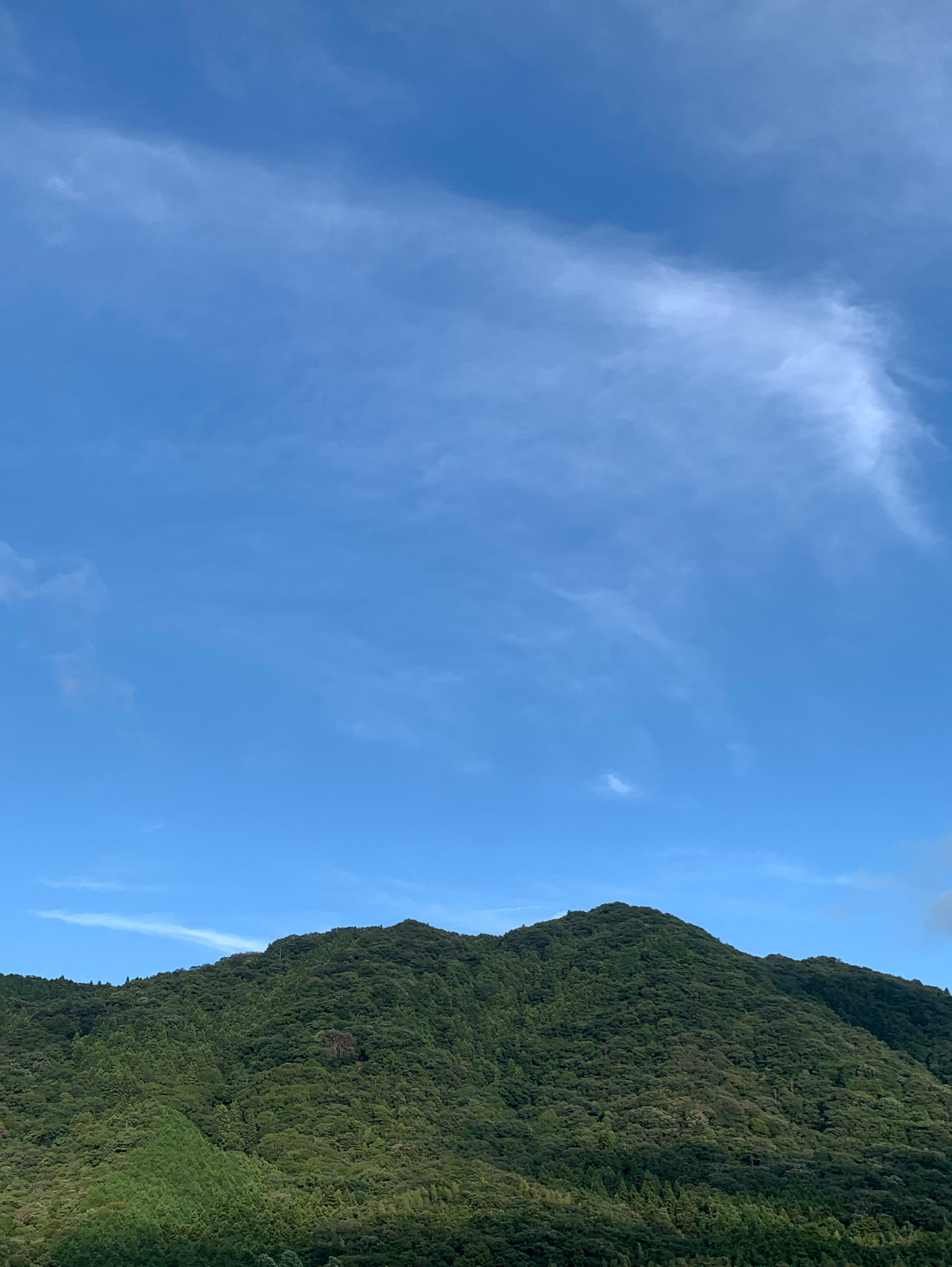 「私の好きなスローな時間」を教えてください