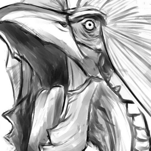 星粒欲しい人が叫ぶ所