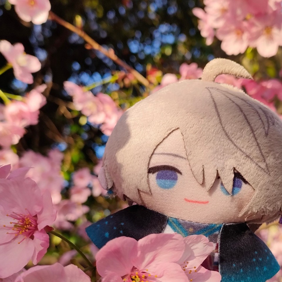 小さな命たちの集い