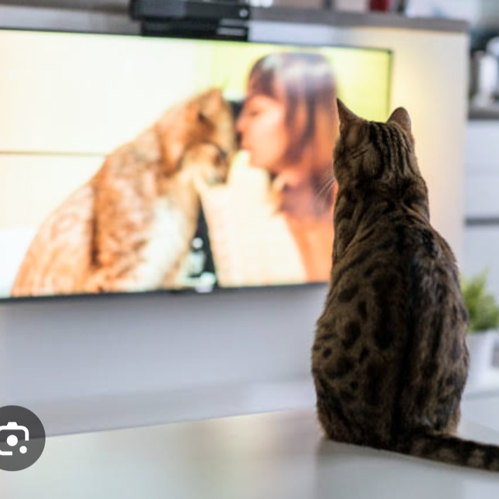 おすすめののんびり作品教えて☺️✨