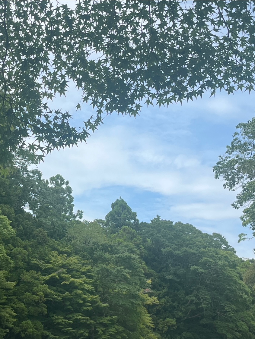 季節のうつろい