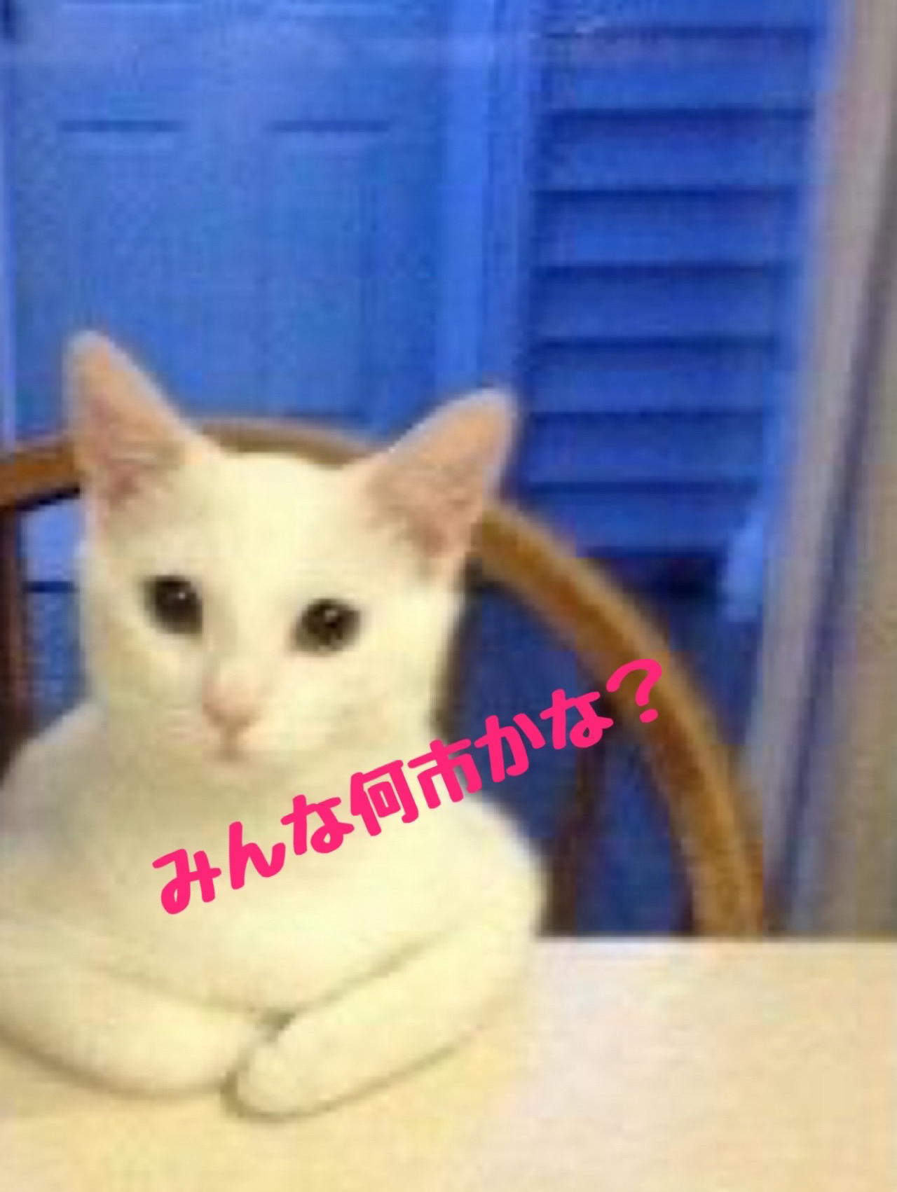 みんな何市かな？