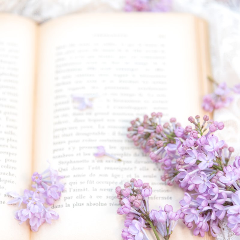 活動中の占い師さん 25年9月～