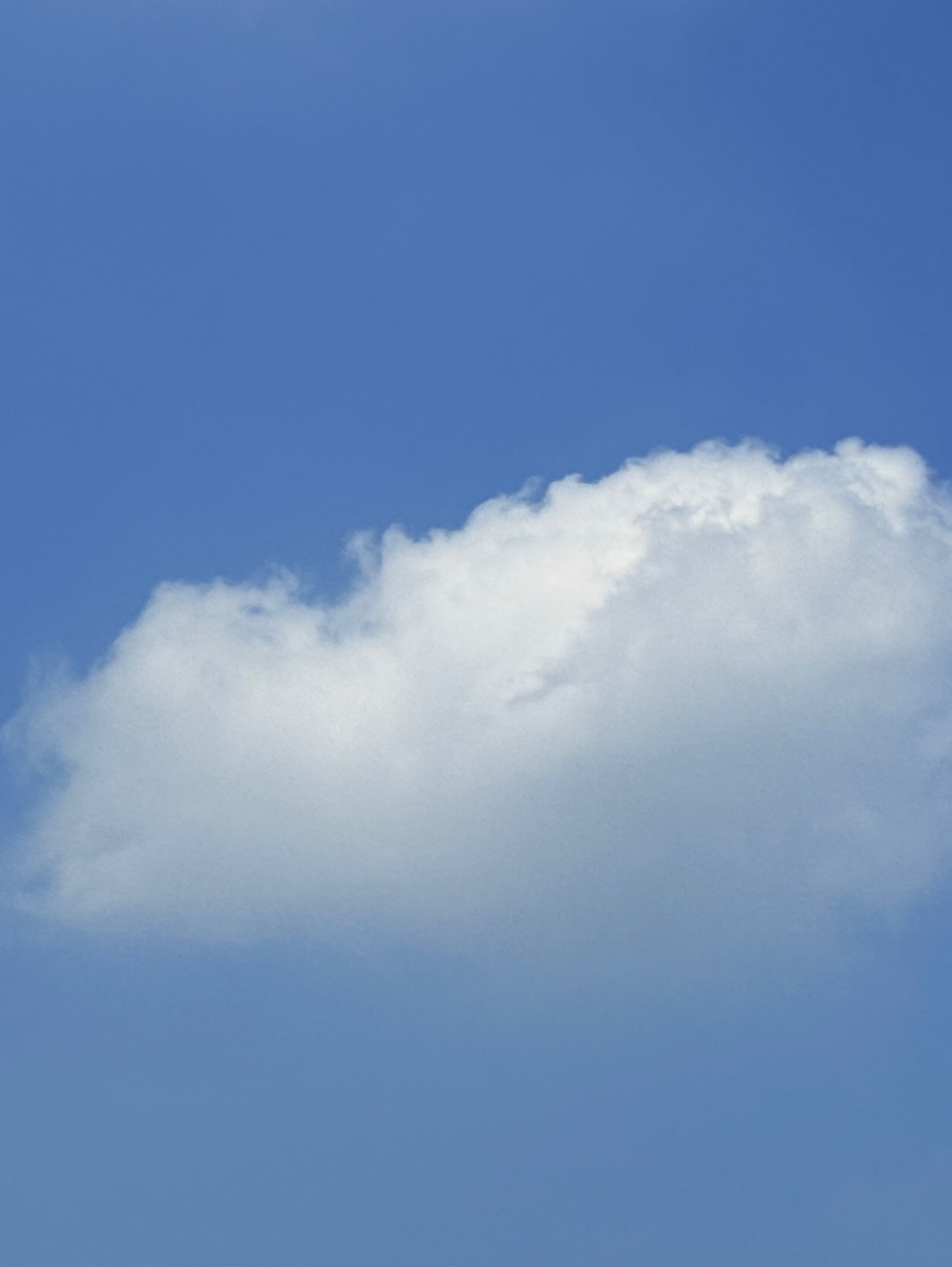 今年の夏1番のお気に入りの空と雲は？