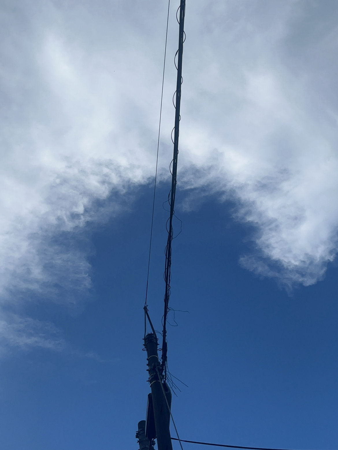 この歌詞が良い！選手権