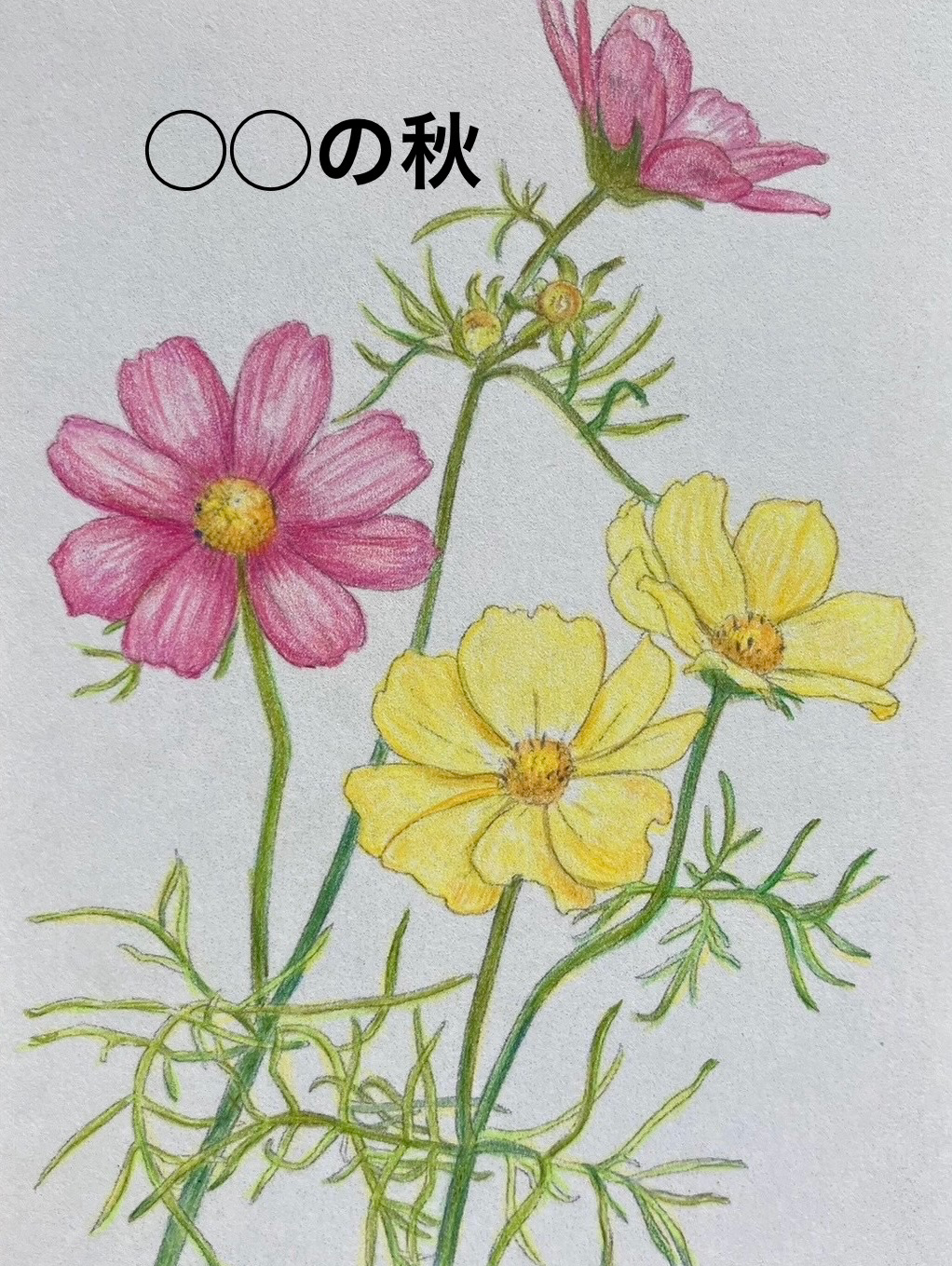 🍁◯◯の秋・秋の◯◯ 🍁