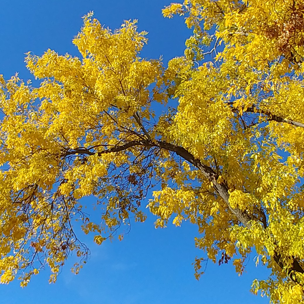 秋の訪れを感じる景色を投稿しよう