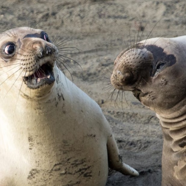 写真でひとこと