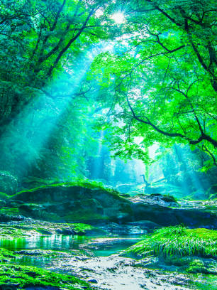 GRAVITY緑化計画🌳