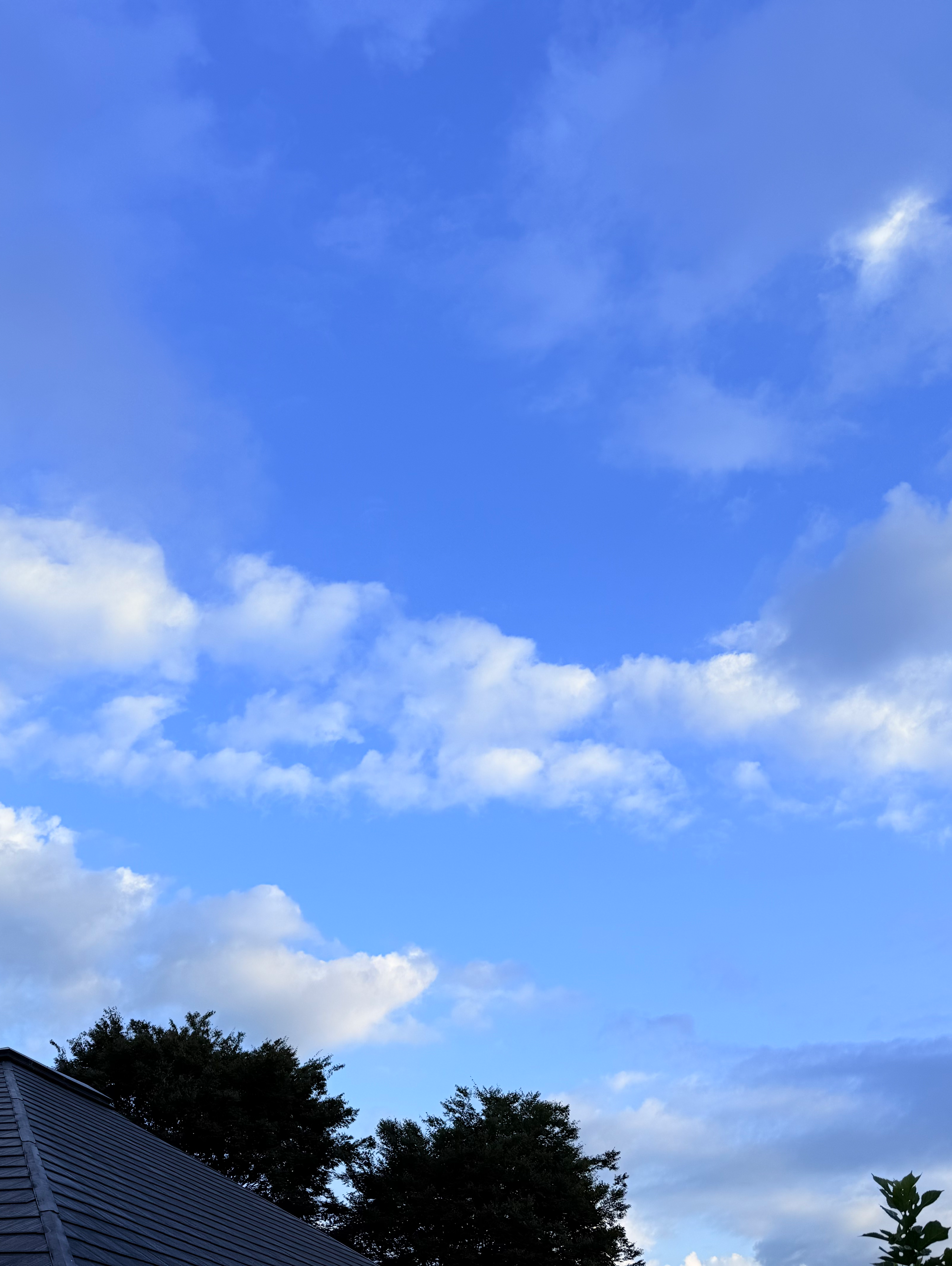 秋をどう感じてますか？