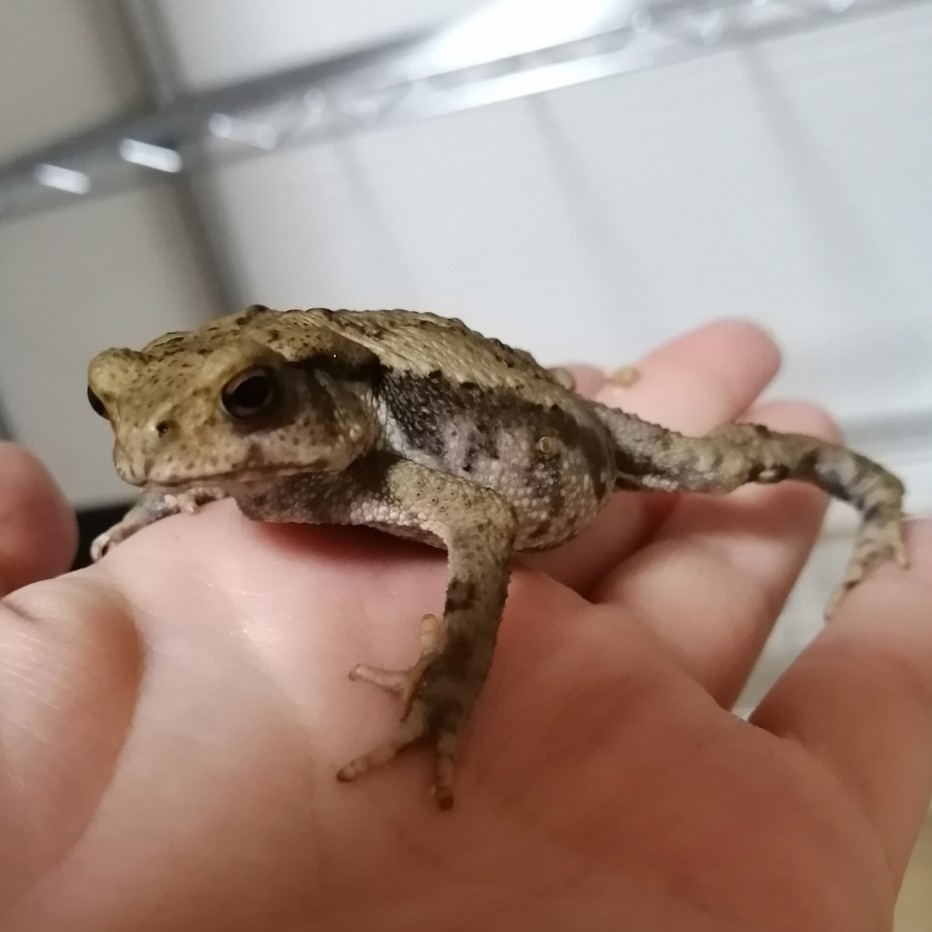 アイコン決定！