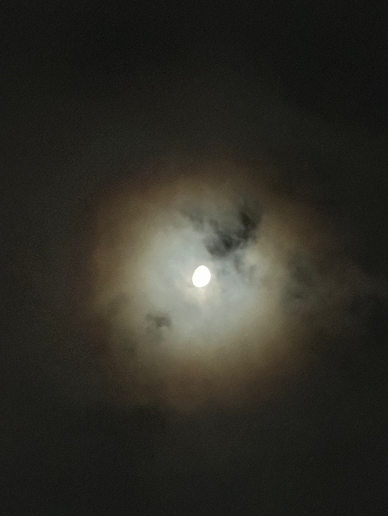 都内の20〜40の女性