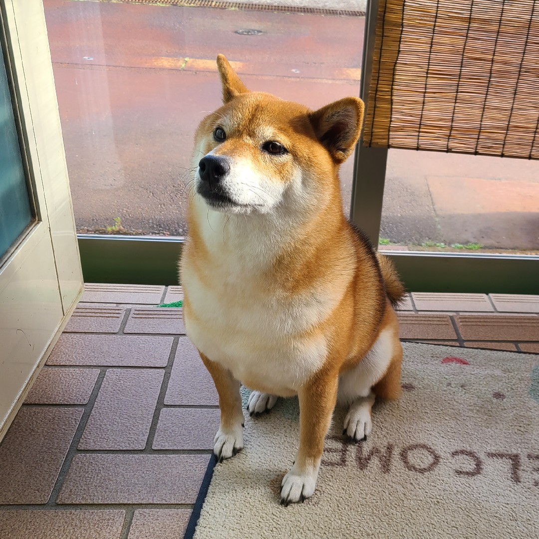 激高まり！Go！テンアゲ大会！！