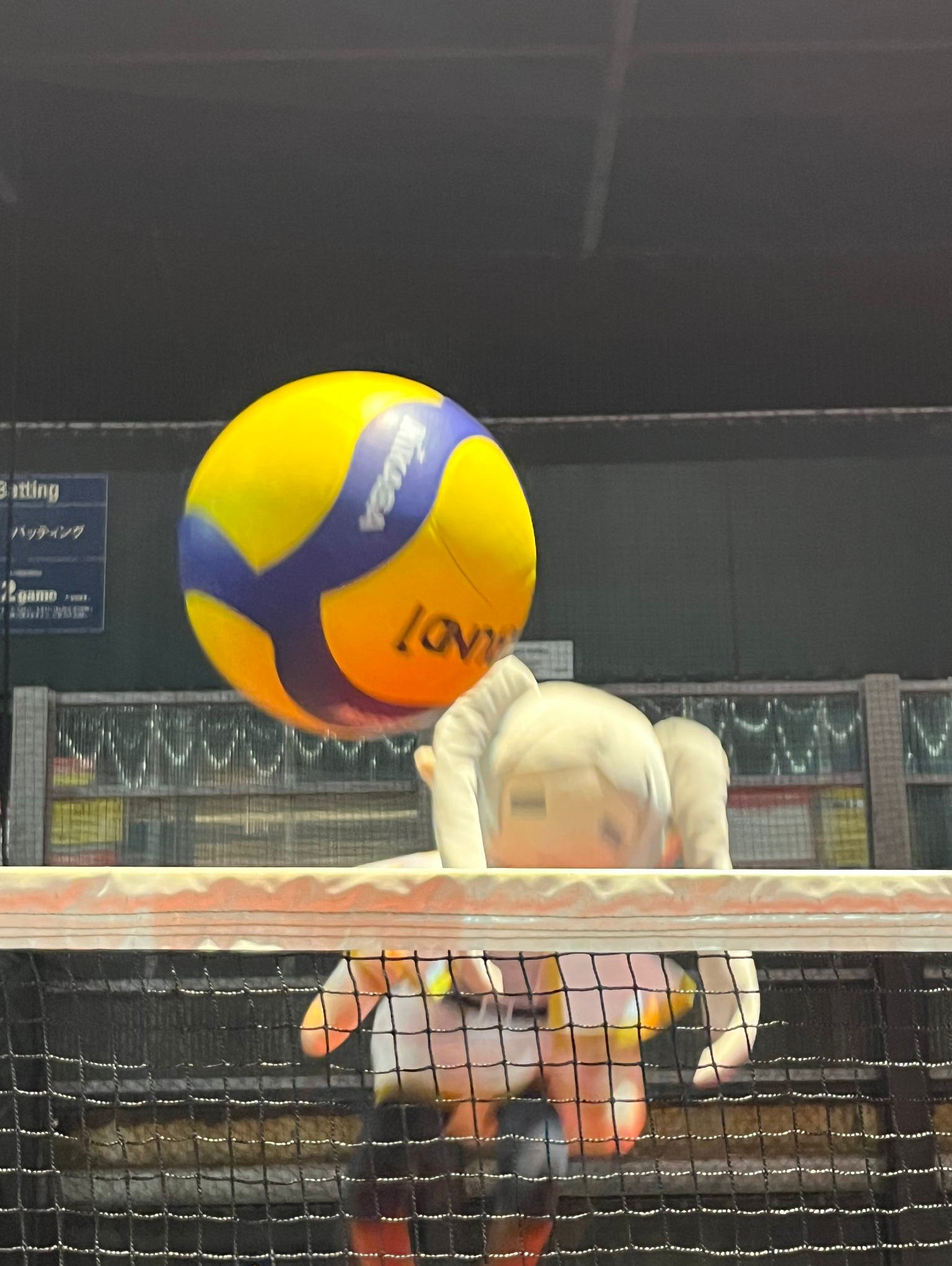 スポーツの秋🍁 前を向ける応援歌