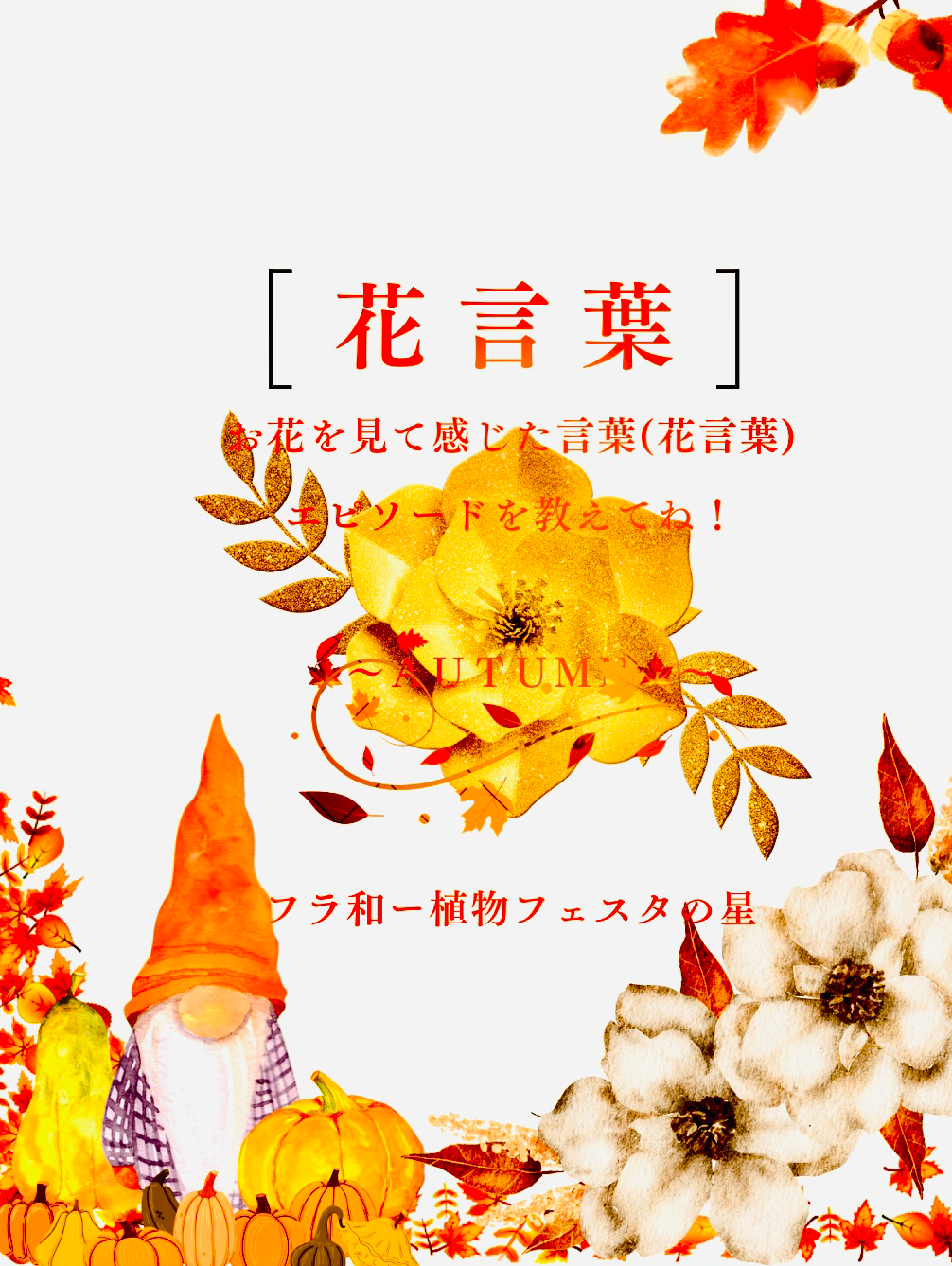 🎃🍁花言葉🌼🎄(秋＆冬Ver.)