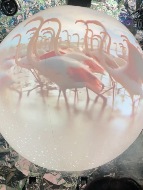 【大阪万博】秘蔵の動画公開します！