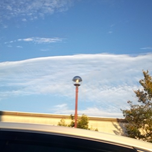 いとこ いる人集合