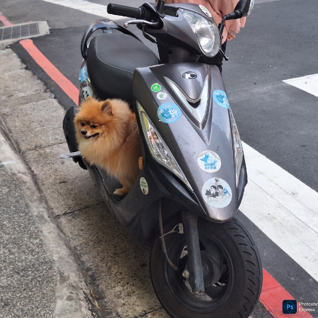 台湾｢らしい｣ものを紹介してください